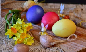 ritae eggs 2119329 jpg