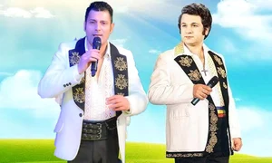 Banner Ionuț Petrescu Dolănescu 