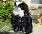 Darth Vader n a fost niciodată mai înspăimântător  jpeg