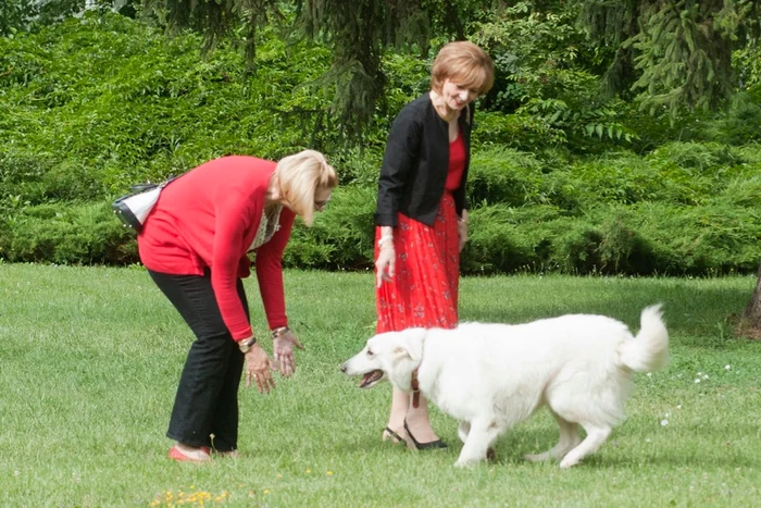 Principesa Maria și-a petrecut ziua alături de Principesa Margareta și de câinele Familei Regale