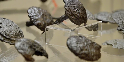 piese de fier expuse la muzeul din deva foto adevarul daniel Guta