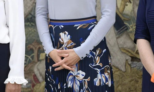 La reine Letizia d'Espagne en audience avec les membres de l'association "Professional Womens Network Madrid" à Madrid jpeg