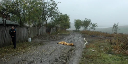 Foto arhivă