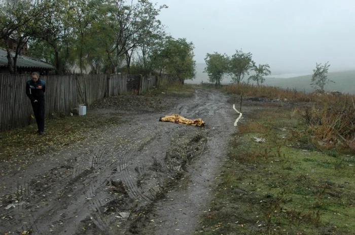 Foto arhivă