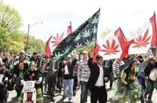 Istoria (re)legalizării marijuanei în America de Nord jpeg