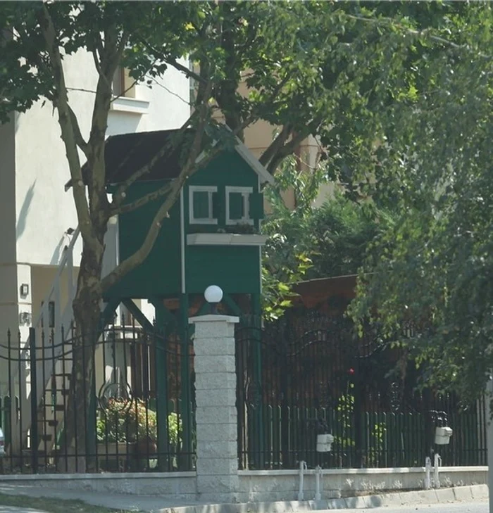 
    Andreea Marin și-a blindat casa și garajul împotriva hoțilorfoto: Instagram  