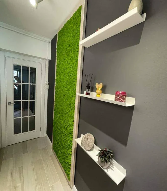 Lichenii stabilizați pot fi amplasați doar în spații închise, fără soare și praf FOTO Anișoara Mihai