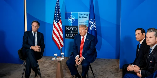 Whitman NATO blog png