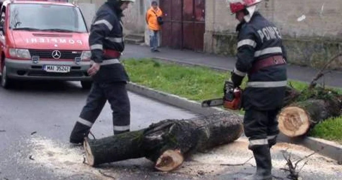 Pompierii au intervenit la degajarea copacilor cazuti Foto ISU Bihor