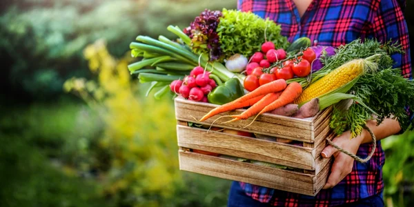 Legume fermier FOTO Shutterstock