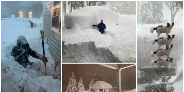 Imagini spectaculoase cu furtuna de zăpadă care a lovit vestul statului New York FOTO Twitter