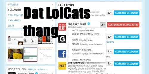lolcats language pe twitter foto adevarul