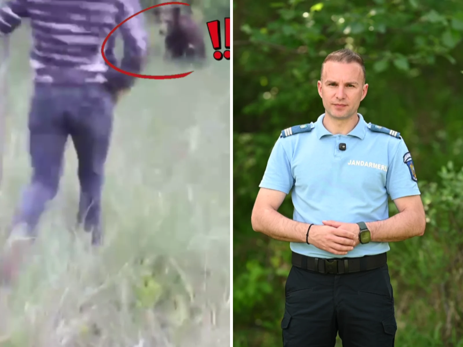 Scene spectaculoase în Vâlcea: un localnic s-a luat după urs cu lopata. Jandarmeria trage un semnal de alarmă
