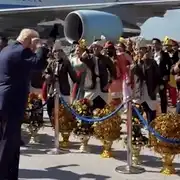 dancing monkey gif