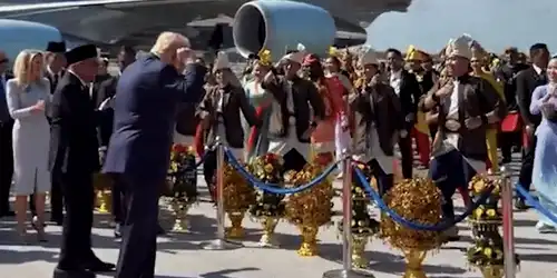 dancing monkey gif