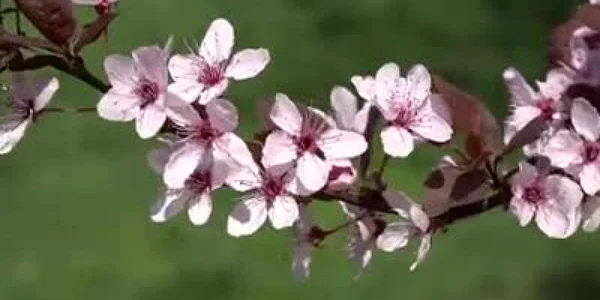 5b518db3df52022f756fb4b0 jpg