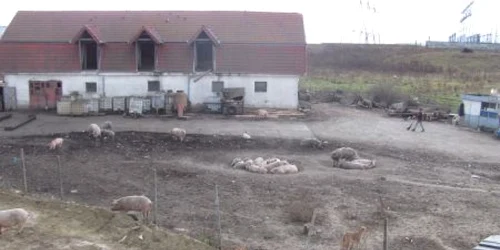 Ferma este la doar câţiva paşi de actorul american