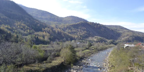 Retrocedarea a peste 43 de mii de hectare de pădure din judeţul Bacău a fost suspendată de Tribunalul Sibiu. Valea Muntelui FOTO Mircea Merticariu