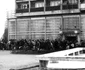 Coada la alimentară în Bucureşti