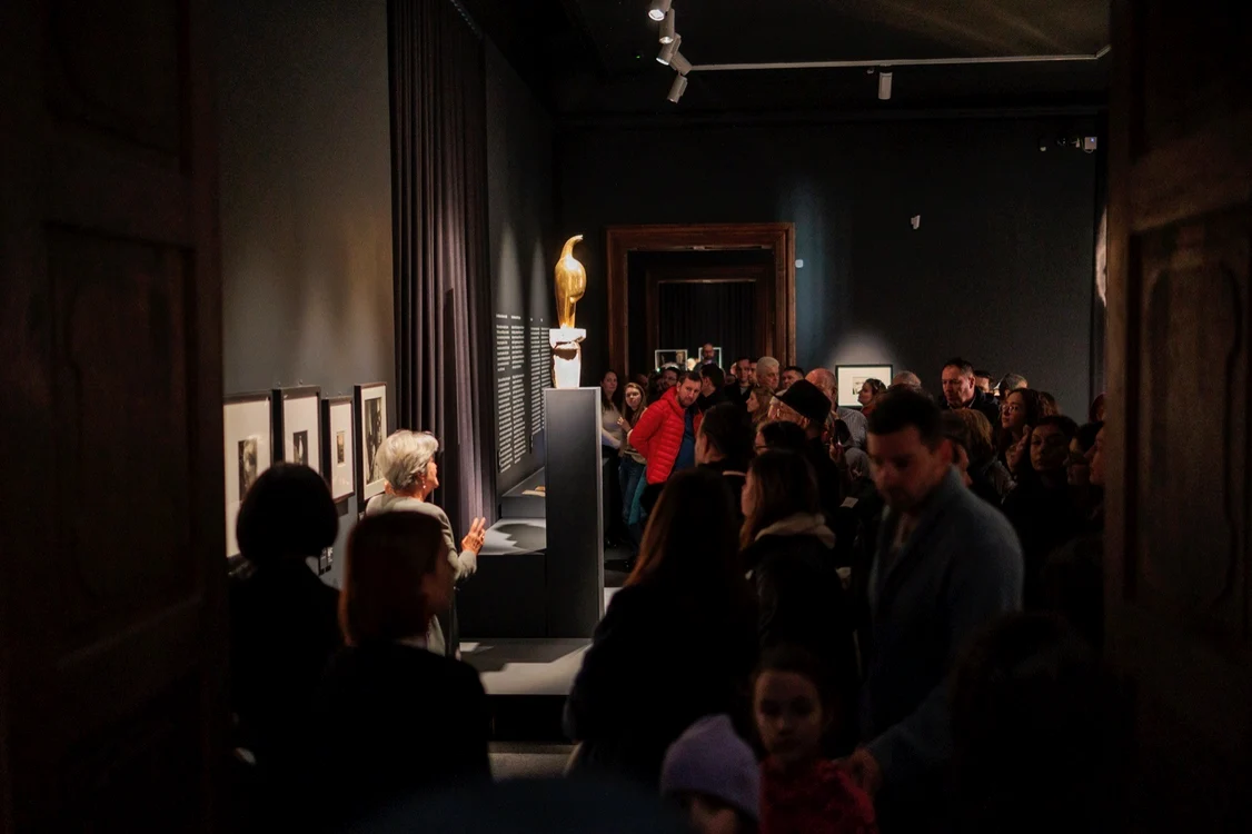 Expoziția Brâncuși de la Timișoara FOTO Ștefan Both