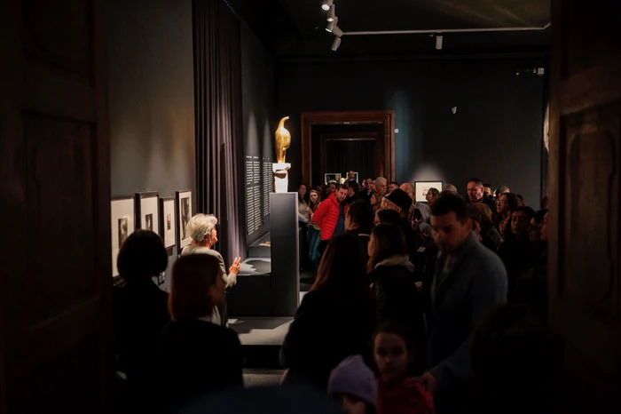 Expoziția Brâncuși de la Timișoara FOTO Ștefan Both