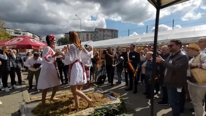 Mustul se obținea prin zdrobirea strugurilor cu picioarele FOTO: arhiva/A.M.