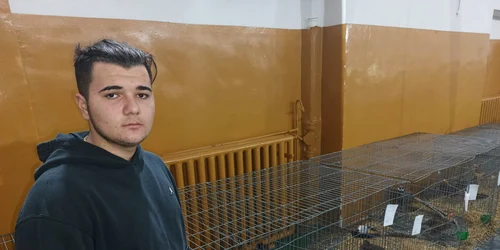 denis crescator de pasari tg jiu jpeg