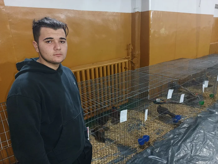 Denis crește aproximativ 500 de păsări Foto: Alin Ion