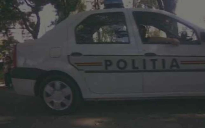 Târgu-Jiu: Tânără amendată pentru că s-a dat violată