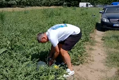 WhatsApp Video 2025 07 02 at 12 06 17 mp4 thumbnail png