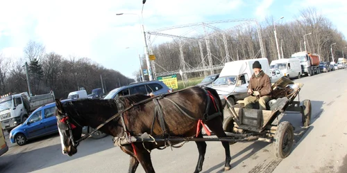 Atenţie brăileni, căruţe în trafic