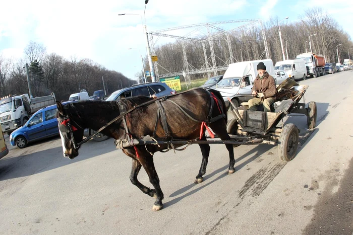 Atenţie brăileni, căruţe în trafic