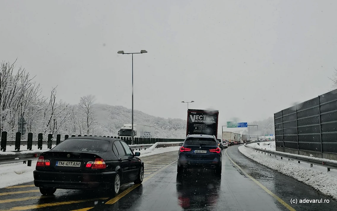 Zona Holdea de pe Autostrada Lugoj Deva  Foto Daniel Guță  ADEVĂRUL (52) jpg