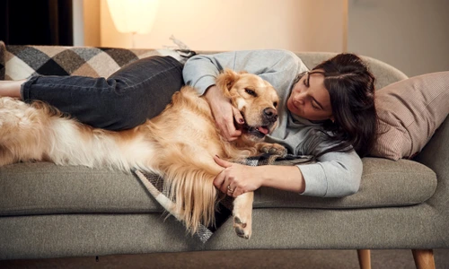 shutterstock 2280767405 jpg