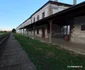 Gara Turnu Roșu  Foto Daniel Guță  ADEVĂRUL (17) jpg