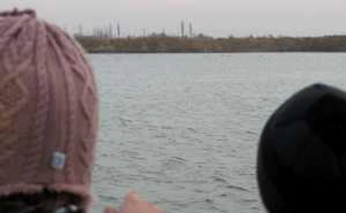 Ora de zoologie, la balta cu lebede