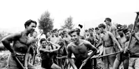 Elevi la muca patriotica Foto Fototeca Azopan (1) jpg