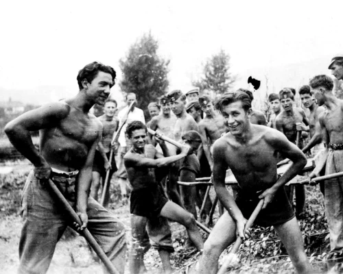 Elevi la muca patriotica Foto Fototeca Azopan (1) jpg
