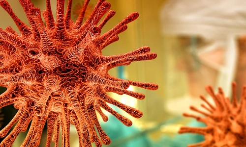 1 vaccine 4932430 1920 jpg jpeg