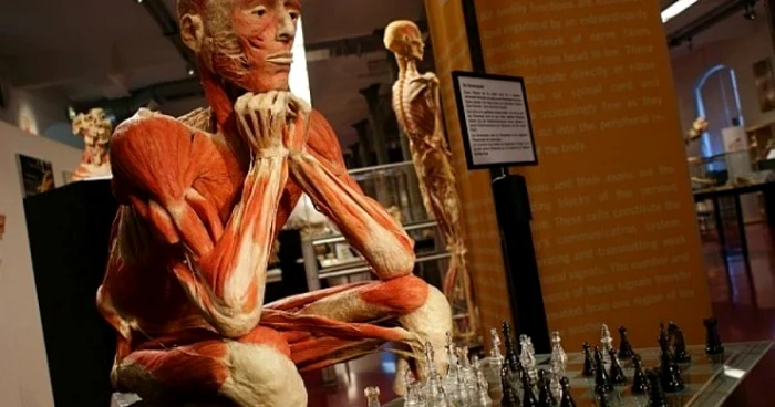 plastinarium_foto_reflex.cz