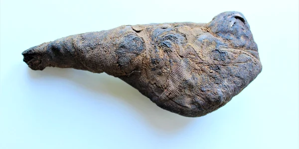 mumie alba