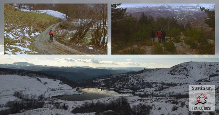 proiect rosia montana