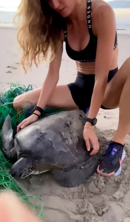 6 gisele bundchen 1 jpg jpeg