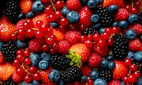 1 fructe padure jpg jpeg