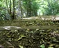 Fosta cale ferată Hunedoara Govajdia Foto Daniel Guță ADEVĂRUL (93) jpg