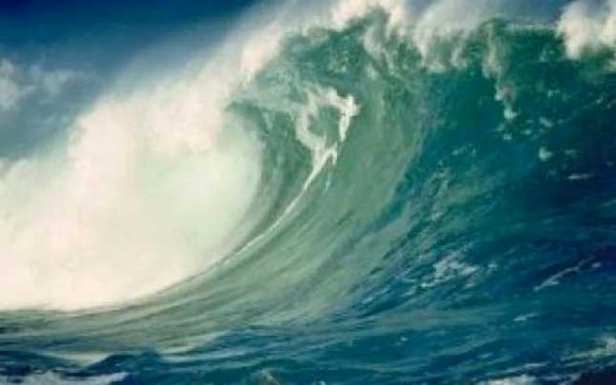 Sistemul va fi instalat instalat pe litoralul de la Marea Neagră al celor două ţări