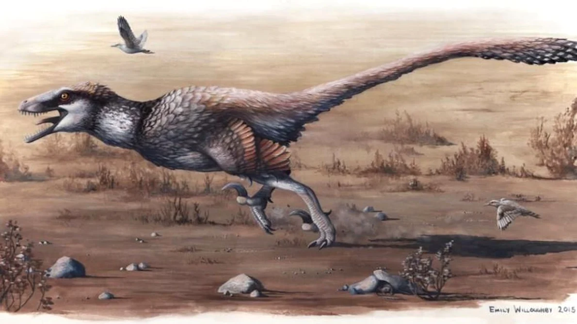 S a descoperit o nouă specie de dinozaur jpeg