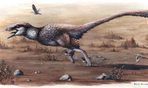 S a descoperit o nouă specie de dinozaur jpeg