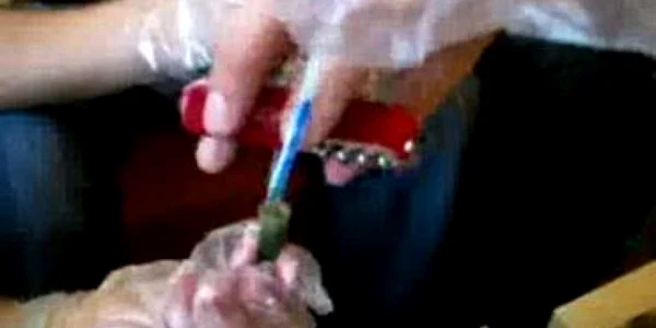 CE: statele membre trebuie să scoată de pe piaţă produsele cu in modificat genetic