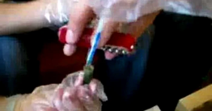 CE: statele membre trebuie să scoată de pe piaţă produsele cu in modificat genetic